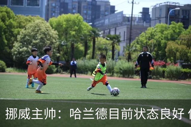 挪威主帅：哈兰德目前状态良好 他是世界上最好的射手